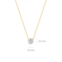 Blush Ketting 14kt Goud 3077BZI