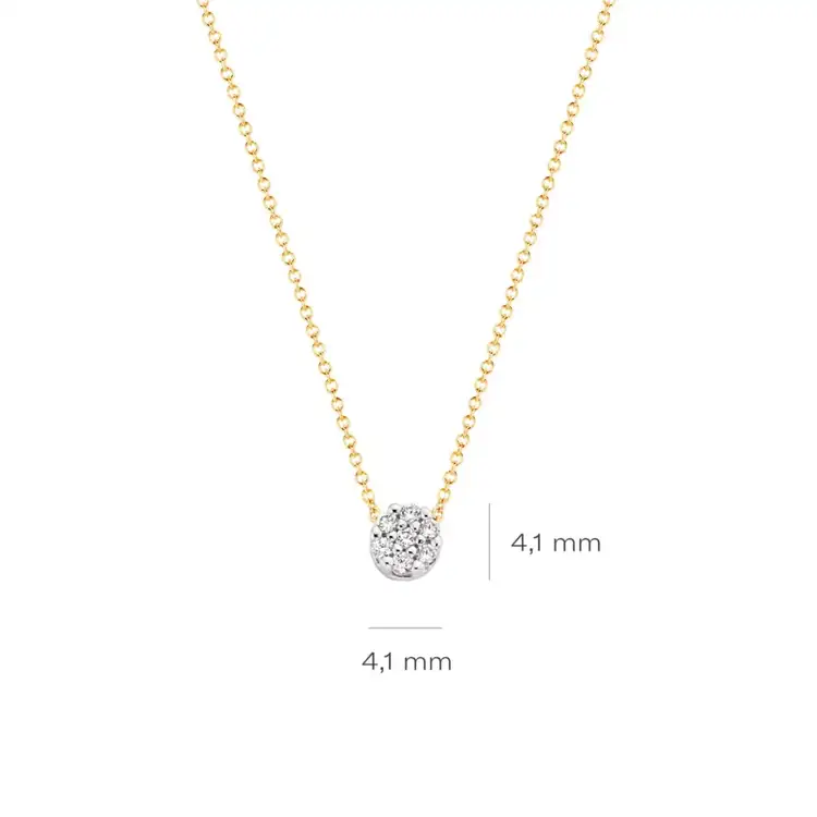 Blush Ketting 14kt Goud 3077BZI