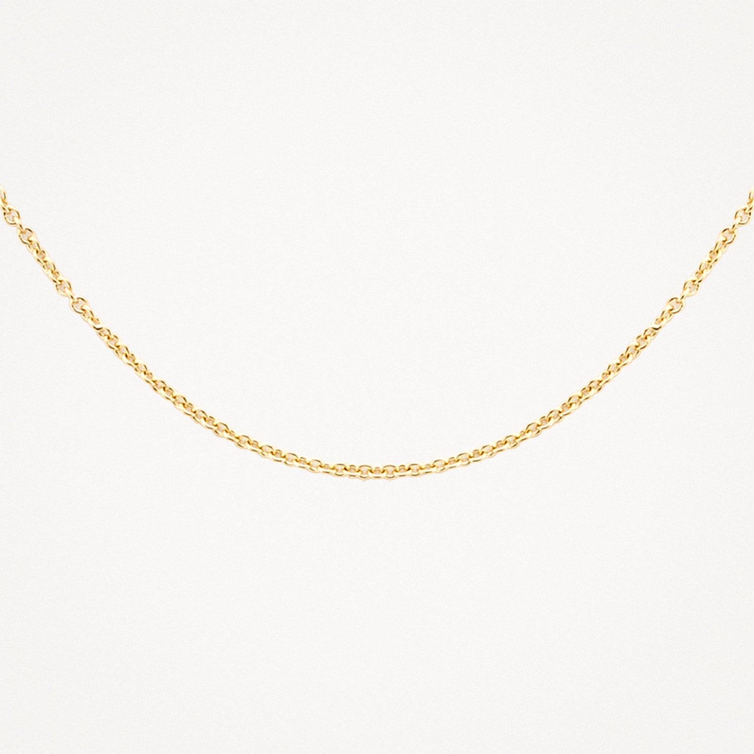Blush Ketting 14kt Goud 3046YGO/42