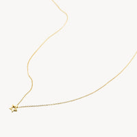 Blush Ketting 14kt Goud 3151YGO