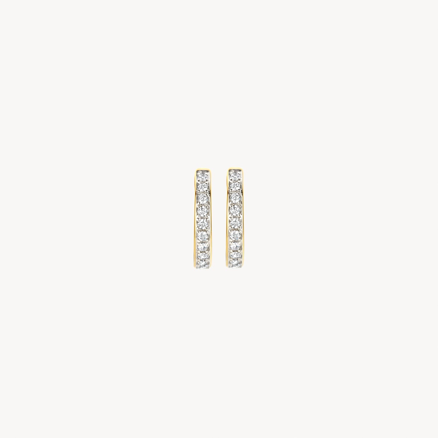 Blush Oorringen 14kt Goud 7129BZI
