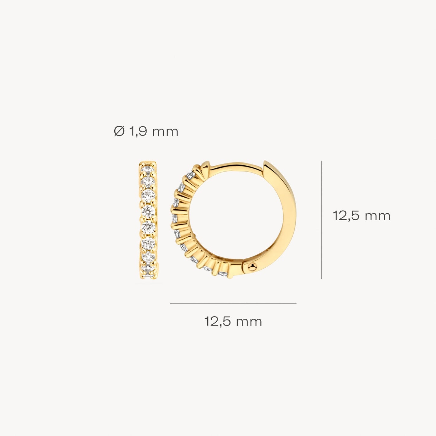 Blush Oorringen 14kt Goud 7166YZI