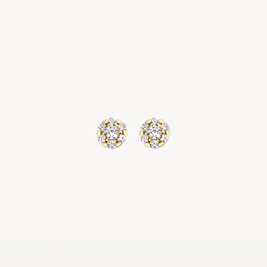 Blush Oorknoppen 14kt Goud 7241YZI