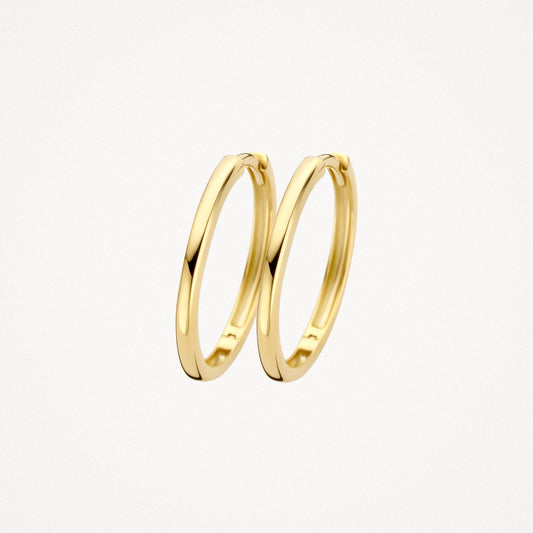 Blush Oorringen 14kt Goud 7274YGO