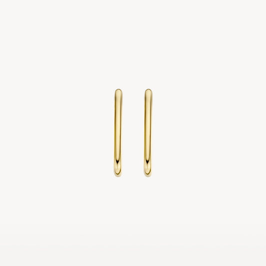 Blush Oorringen 14kt Goud 7295YGO