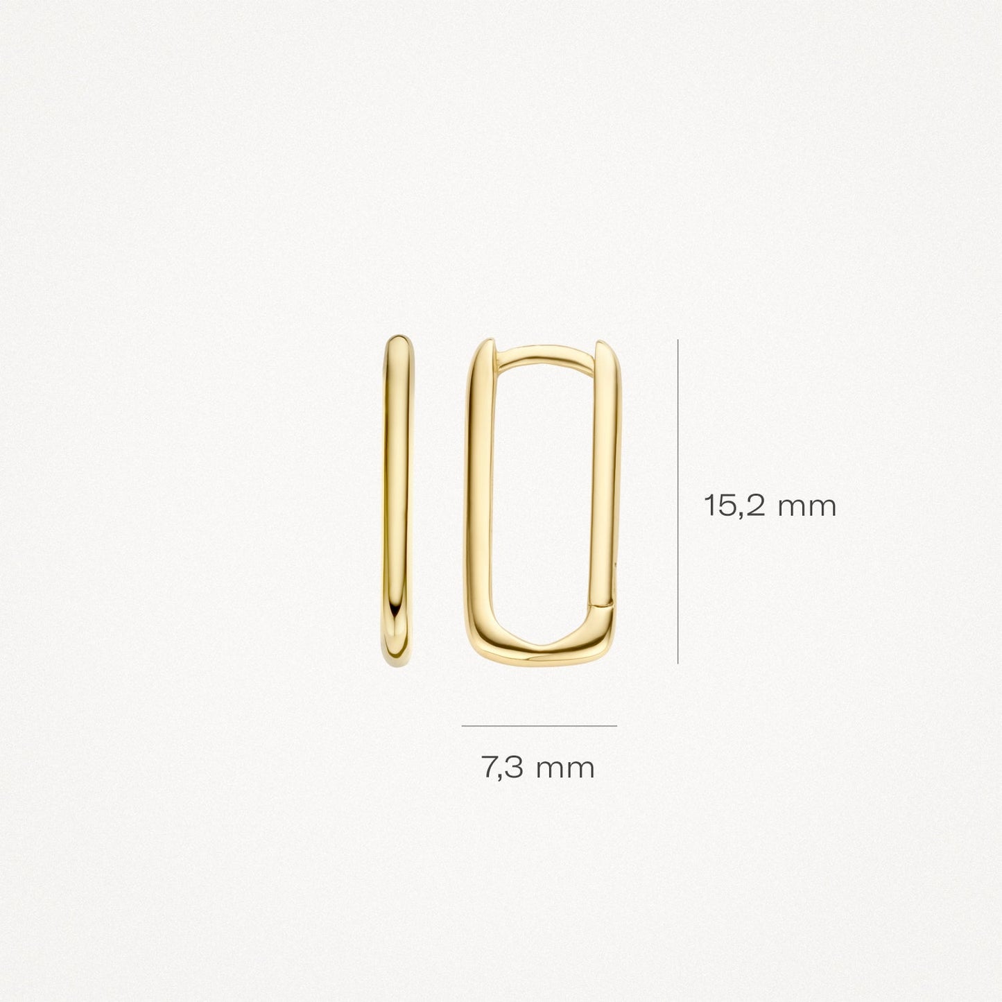Blush Oorringen 14kt Goud 7295YGO