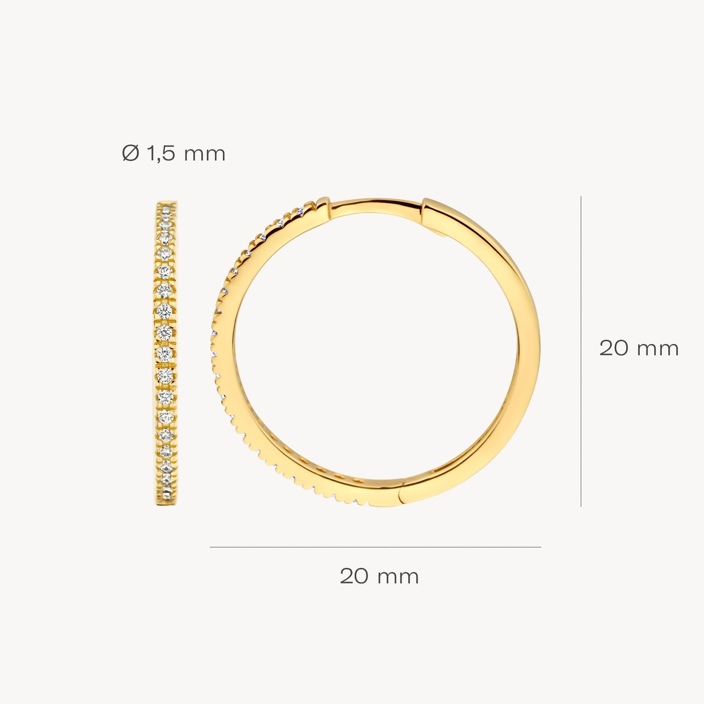 Blush Oorringen 14kt Goud 7306YZI