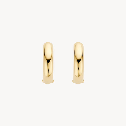 Blush Oorringen 14kt Goud 7316YGO