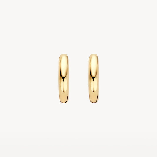 Blush Oorringen 14kt Goud LG7021Y