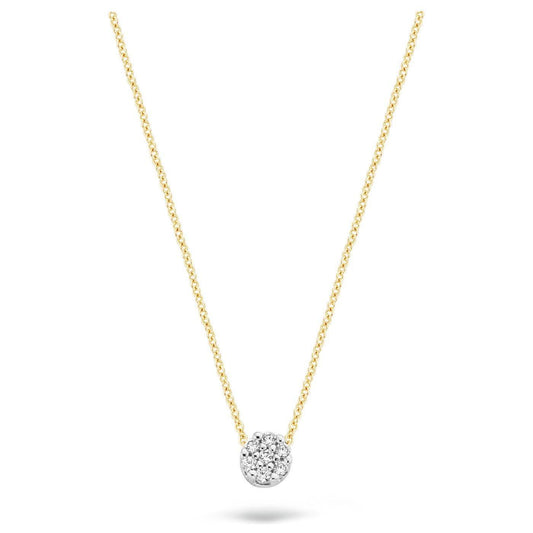 Blush Ketting 14kt Goud 3077BZI