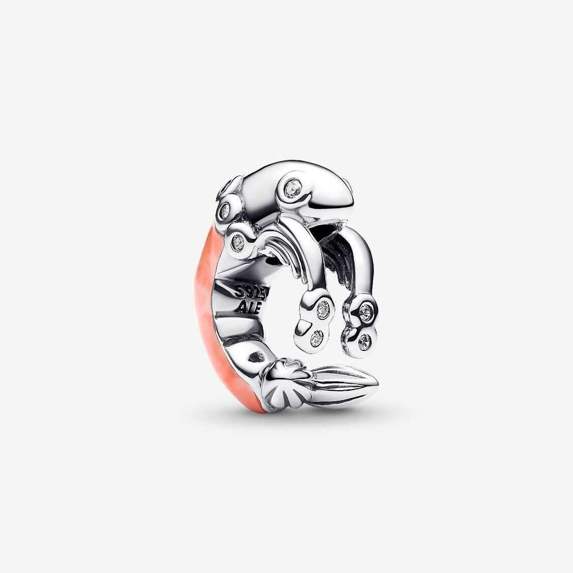 Pandora Bedel Garnaal 793896C01 - Juwelier van Dam