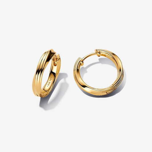 Pandora Gedraaide Oorringen 263878C00 - Juwelier van Dam