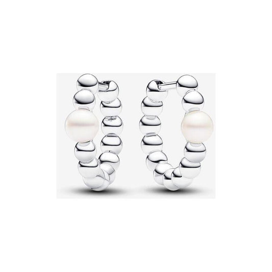 Pandora oorsieraad 293178C01