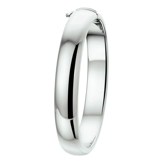 vDam Bangle Scharnier 10 Mm Bolle Buis Zilver Gerhodineerd 1326302