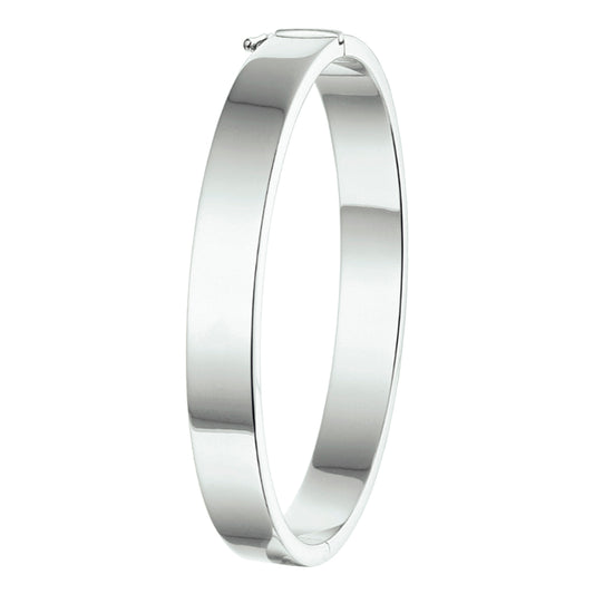 vDam Bangle Scharnier 8 Mm Vlakke Buis Zilver Gerhodineerd 1326305