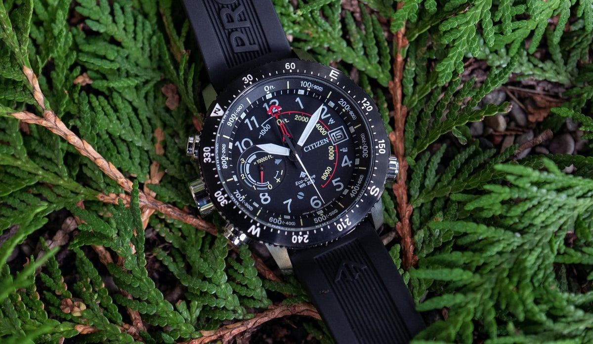 Citizen Promaster Land Horloges - Juwelier van Dam