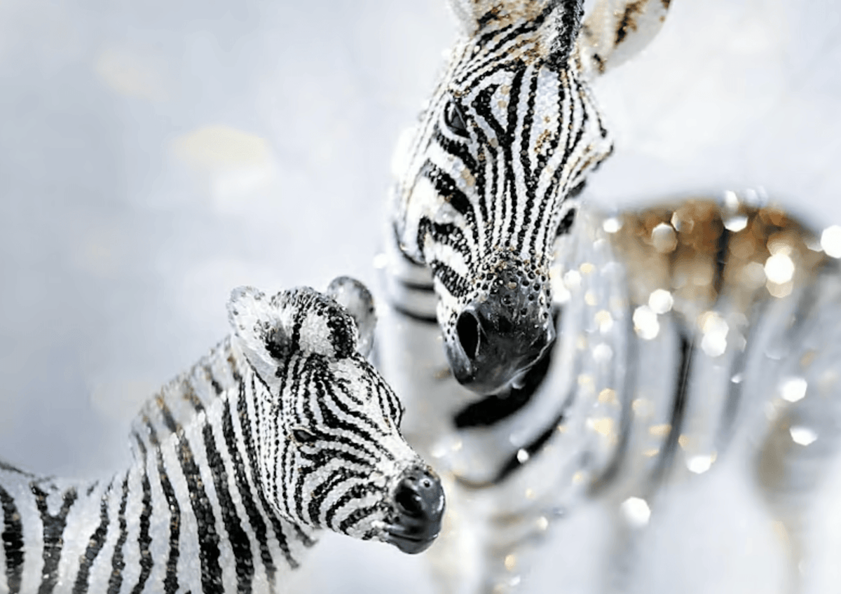 SCS - Swarovski Crystal Society - Juwelier van Dam