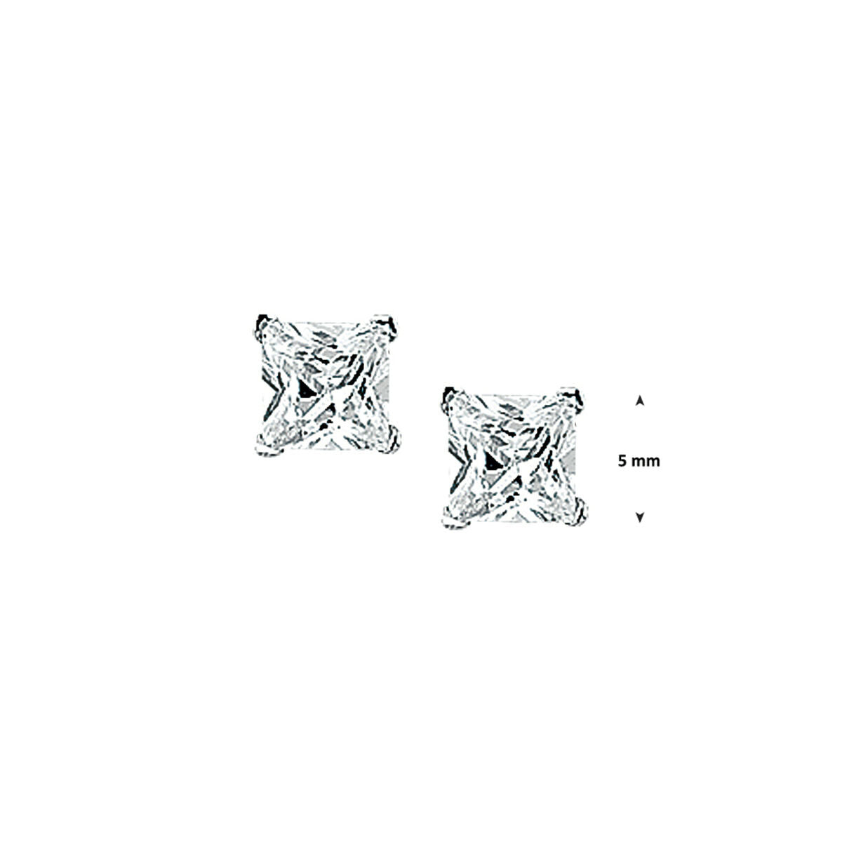Zilveren Oorknoppen Zirkonia 5mm 1323065