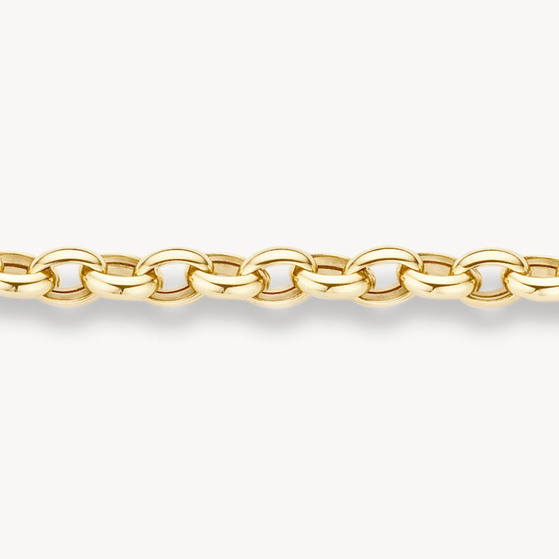 Blush Armband 14kt Goud 2162YGO