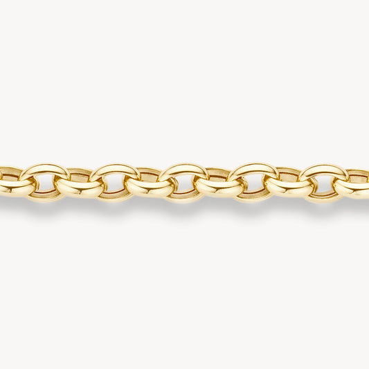 Blush Armband 14kt Goud 2162YGO