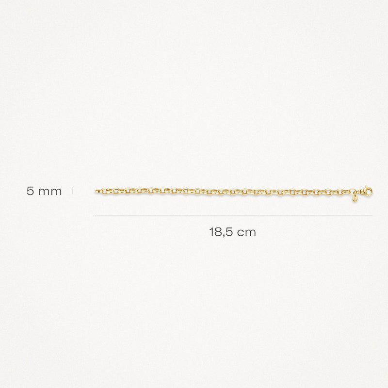 Blush Armband 14kt Goud 2162YGO