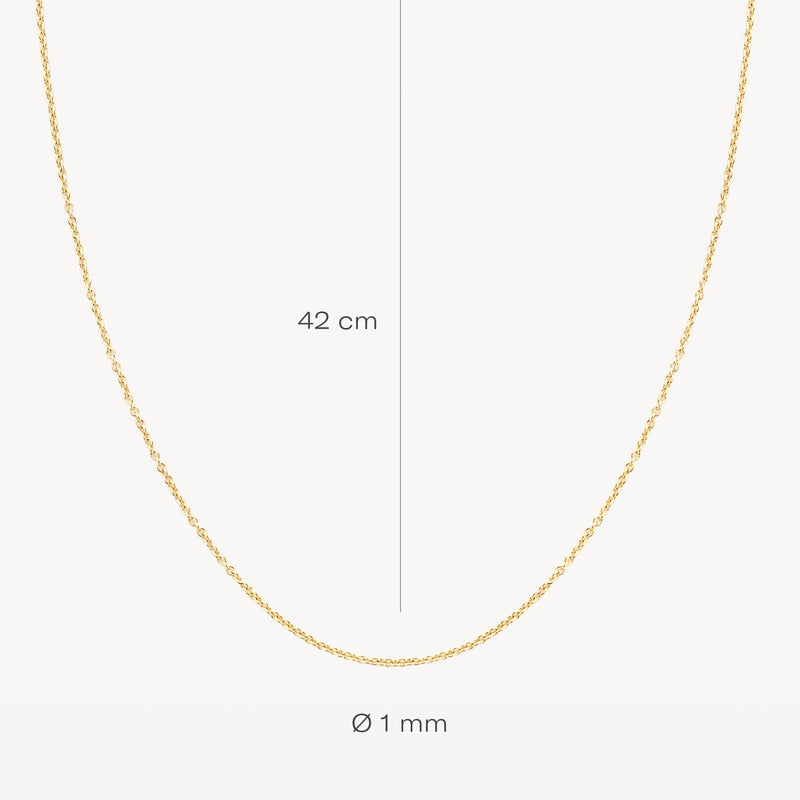 Blush Ketting 14kt Goud 3046YGO/42