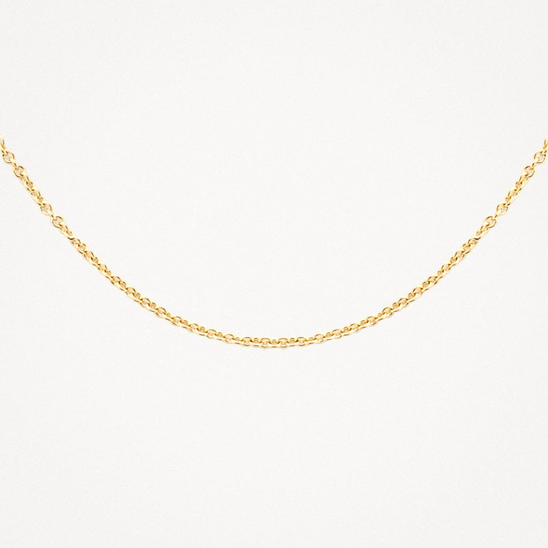 Blush Ketting 14kt Goud 3046YGO/42