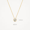 Blush Ketting 14kt Goud 3052YZI