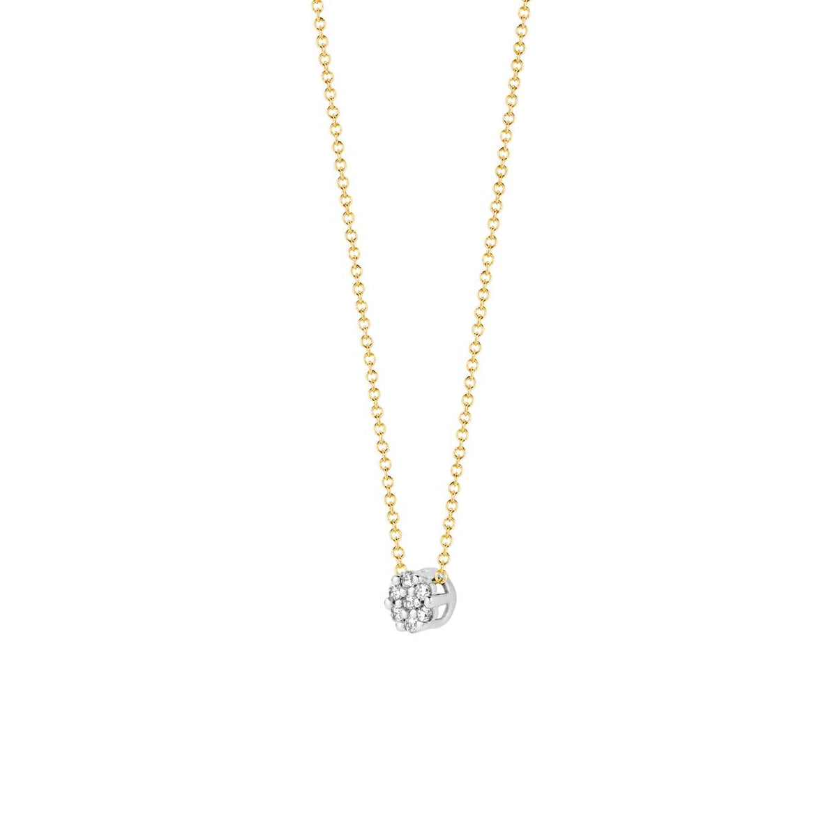 Blush Ketting 14kt Goud 3077BZI