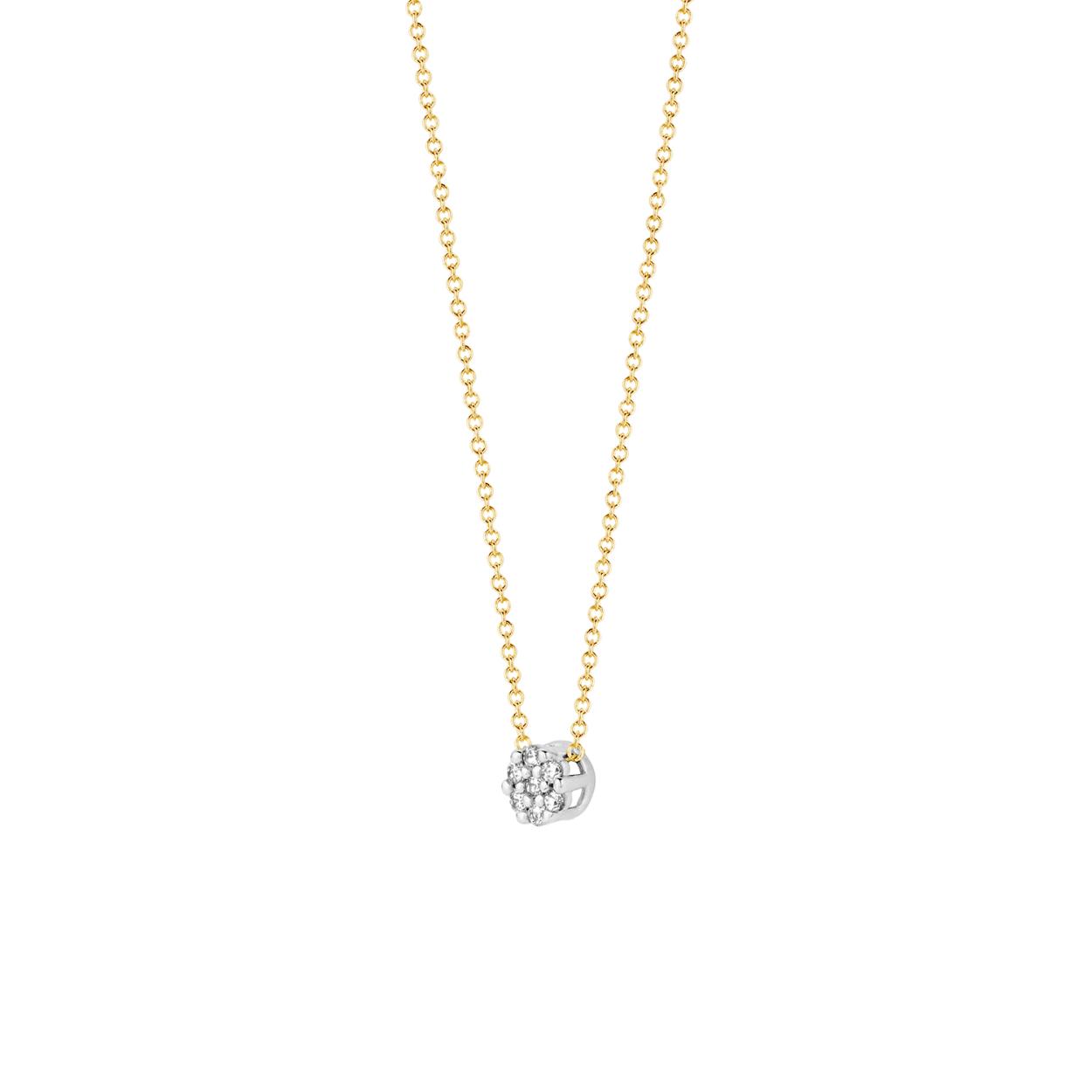 Blush Ketting 14kt Goud 3077BZI