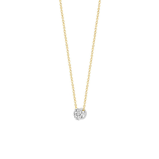Blush Ketting 14kt Goud 3077BZI