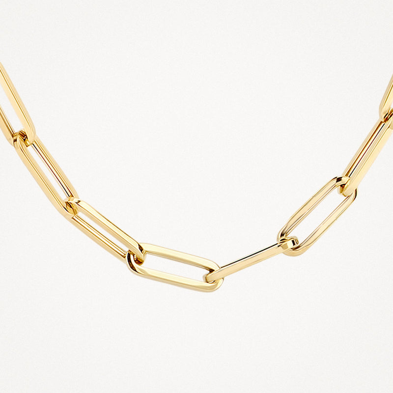 Blush Ketting 14kt Goud 3101YGO