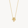Blush Ketting 14kt Goud 3122YZI