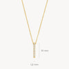 Blush Ketting 14kt Goud 3133YZI