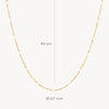 Blush Ketting 14kt Goud 3162YRM
