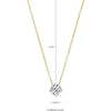 Blush Ketting 14kt Goud 3057BZI