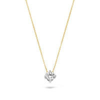 Blush Ketting 14kt Goud 3057BZI