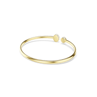 Swarovski Chroma Armband 5738475