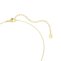 Swarovski Chroma Ketting met Hanger 5741586