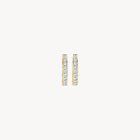 Blush Oorringen 14kt Goud 7129BZI
