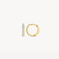 Blush Oorringen 14kt Goud 7129BZI