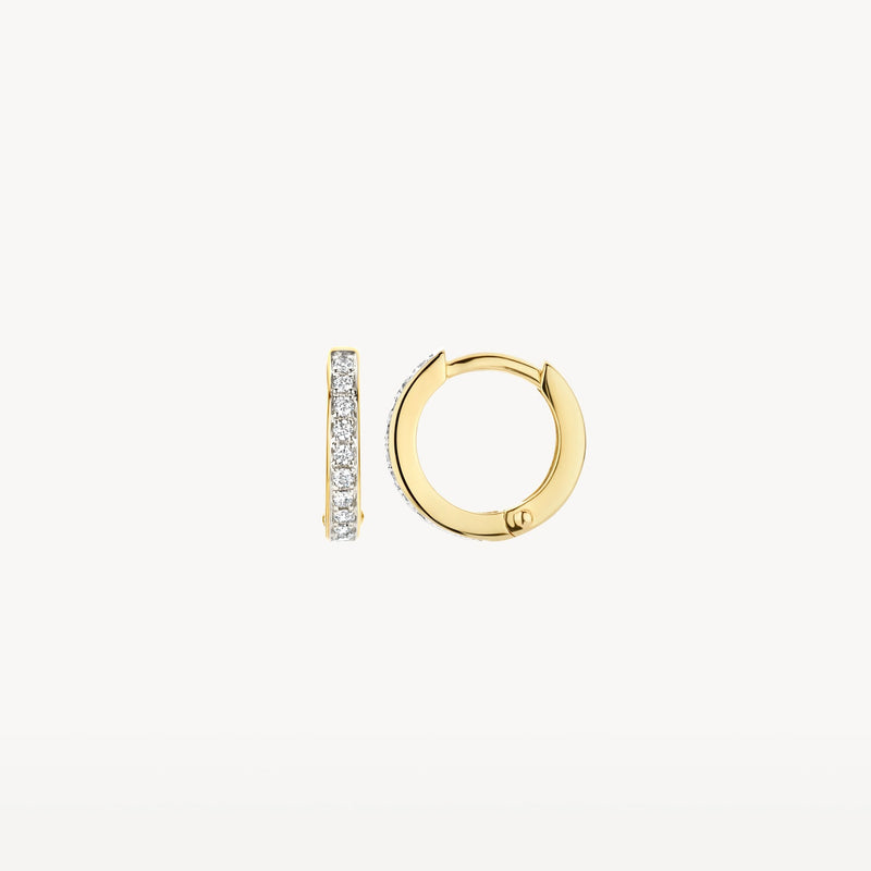 Blush Oorringen 14kt Goud 7129BZI