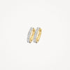 Blush Oorringen 14kt Goud 7129BZI