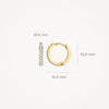 Blush Oorringen 14kt Goud 7129BZI