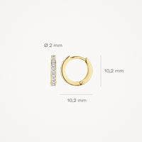 Blush Oorringen 14kt Goud 7129BZI