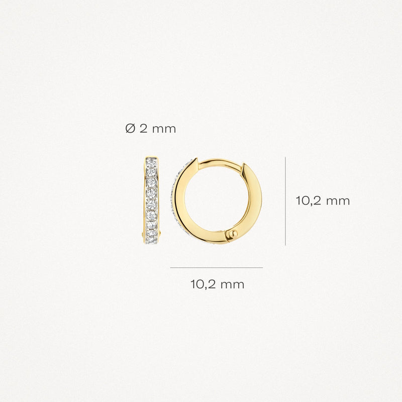 Blush Oorringen 14kt Goud 7129BZI