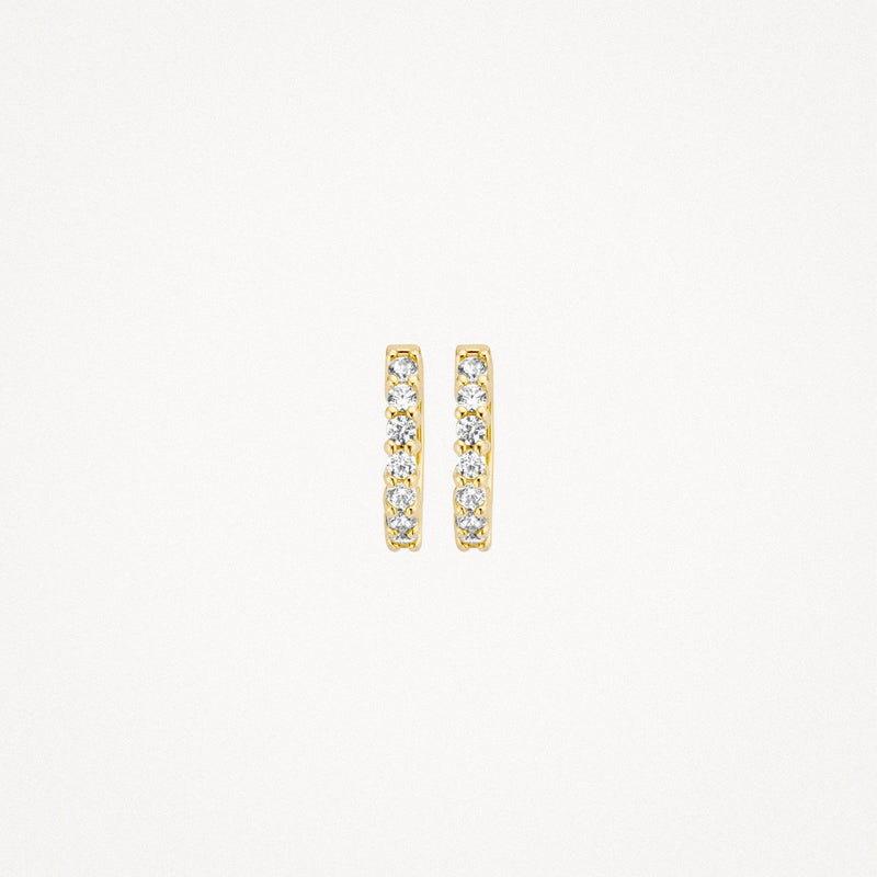 Blush Oorringen 14kt Goud 7134YZI