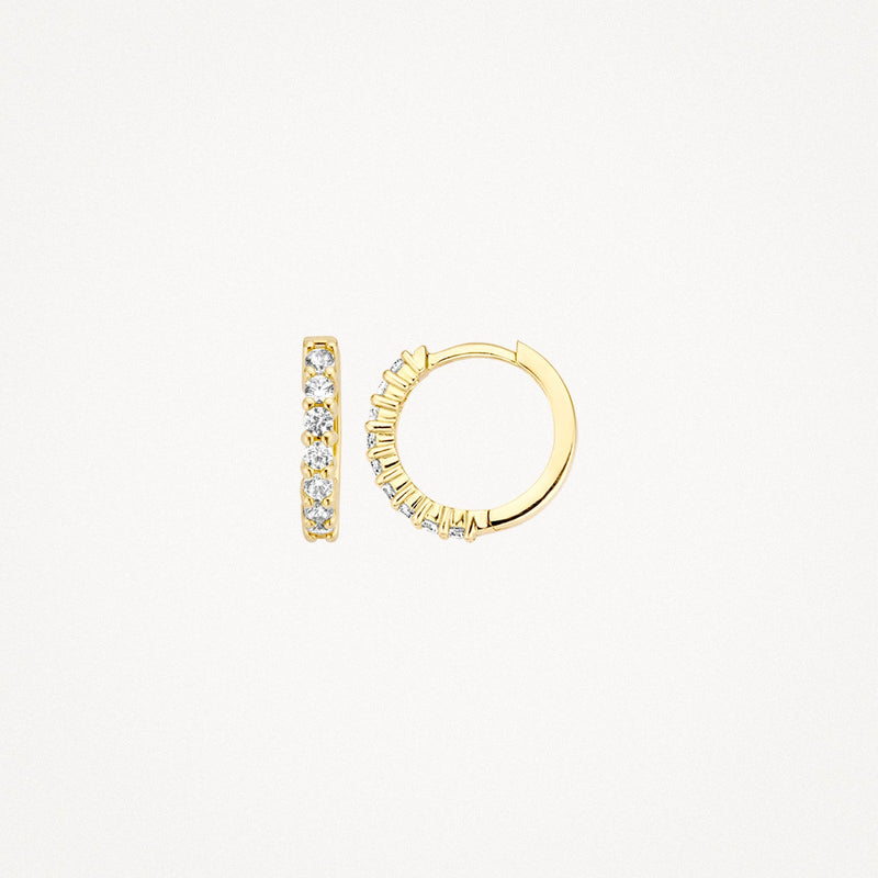 Blush Oorringen 14kt Goud 7134YZI