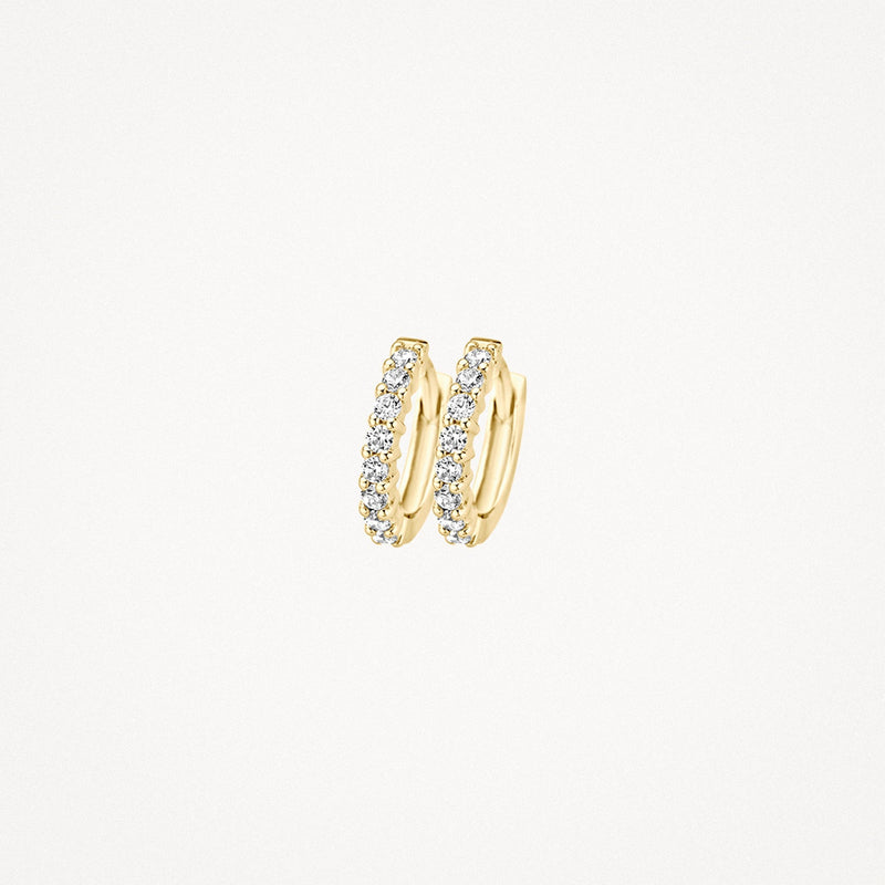 Blush Oorringen 14kt Goud 7134YZI