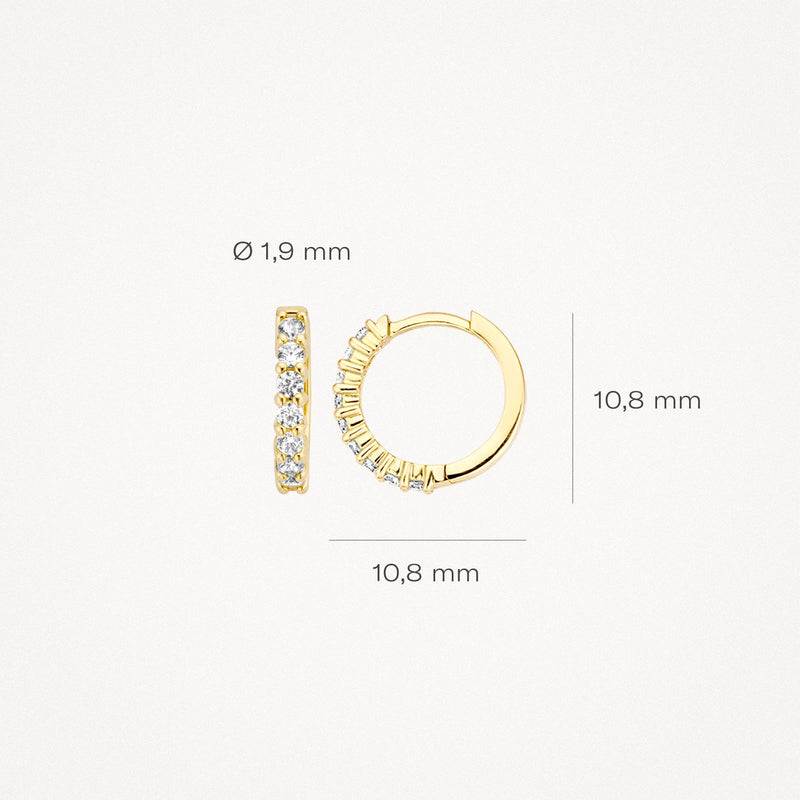 Blush Oorringen 14kt Goud 7134YZI